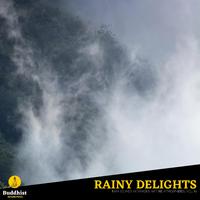 Rainy Delights - Rain Sounds in various Nature Atmospheres, Vol. 10