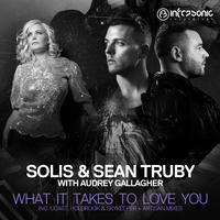 What It Takes to Love You (Extended Remixes)