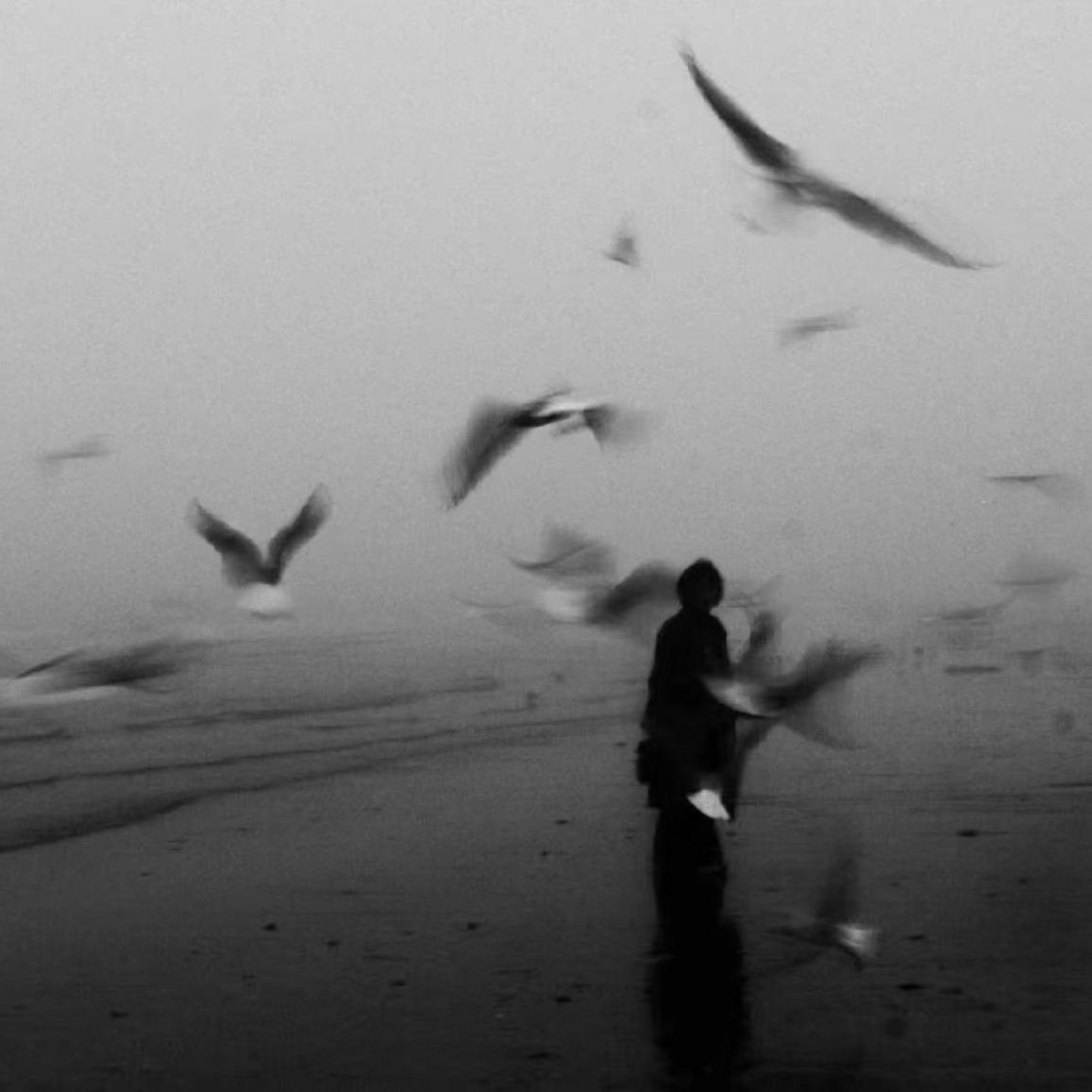 极致安静｜无鼓点｜纯音乐｜致郁｜治愈