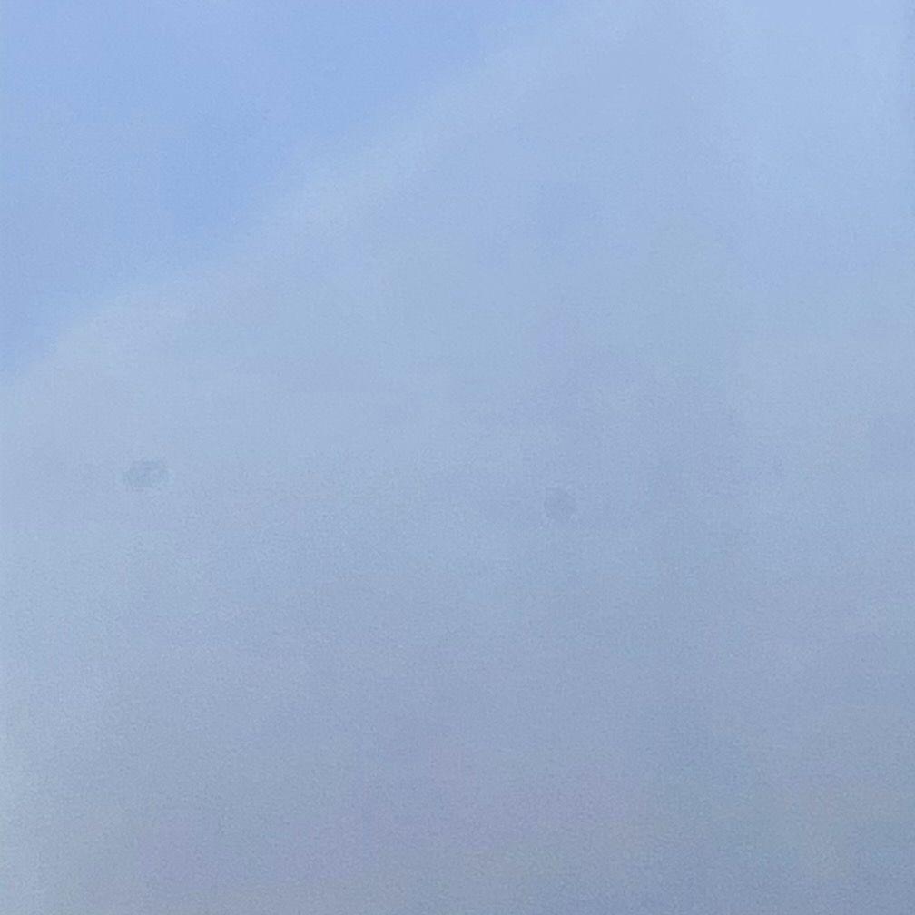 野草与栀子花（怎配得上栀子花）