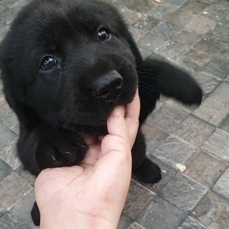 你把袈裟藏哪了