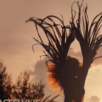 Sytryus资料,Sytryus最新歌曲,SytryusMV视频,Sytryus音乐专辑,Sytryus好听的歌