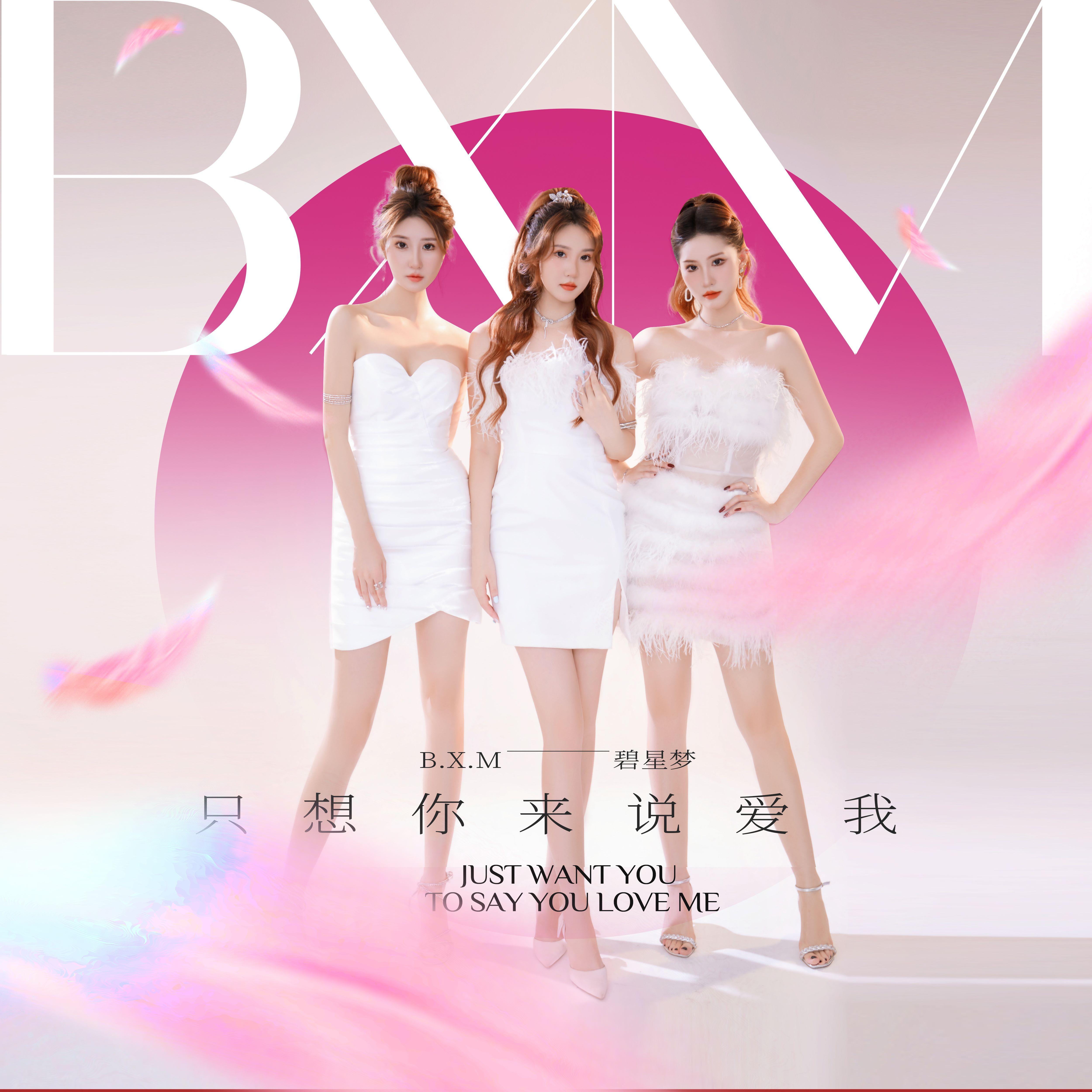 只想你来说爱我封面