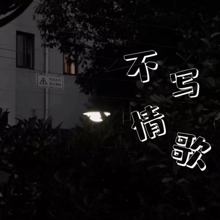 不写情歌 伴奏封面