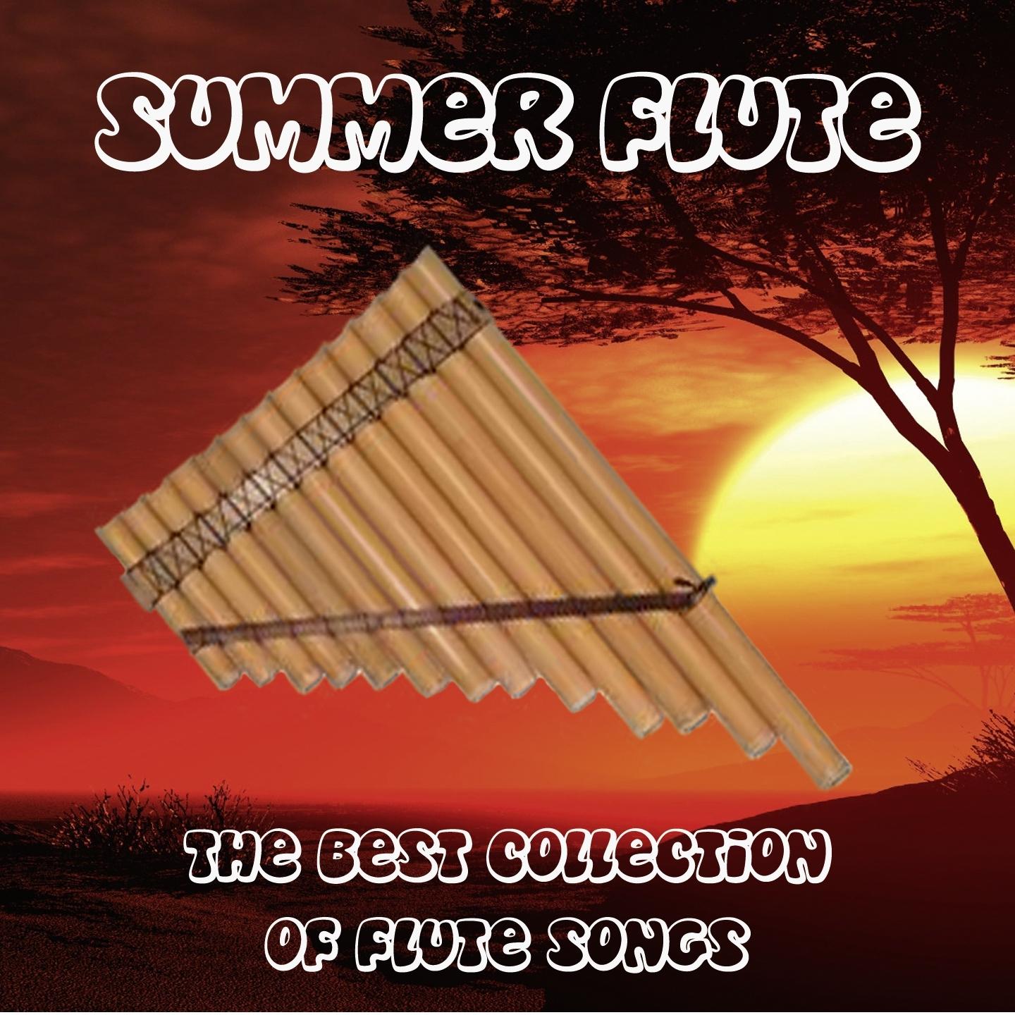 The Last of the Mohicans_Salaska_Summer Flute | 在线播放_The Last of the Mohicans歌词_The Last of the Mohicans下载 | 网易云音乐