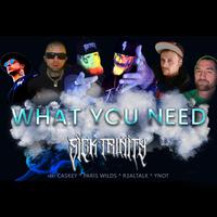 What you Need (feat. Caskey, Ez SixoSix, R3alTalk, Paris Wilds & Ynot) [Summer Mix]