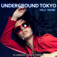 Underground Tokyo Vol. 2 - House