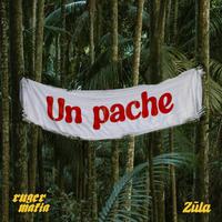 Un Pache (feat. Zūla)