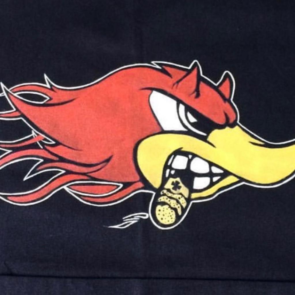 吕小绿家养了红鲤鱼绿鲤鱼和驴