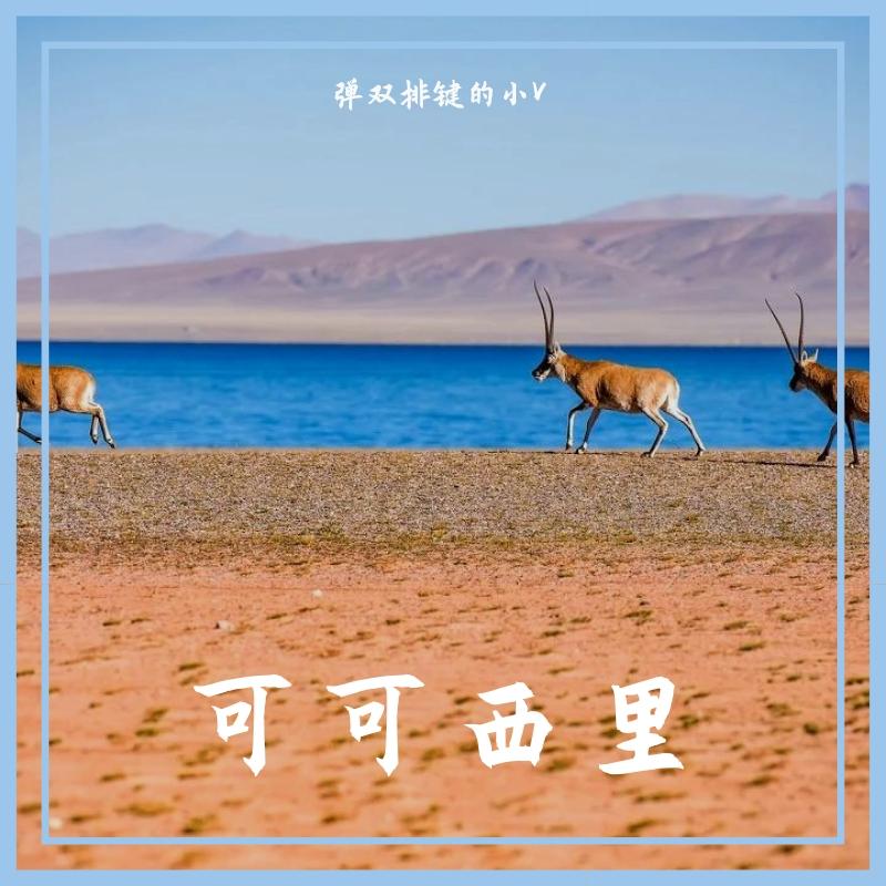 可可西里（童声）封面
