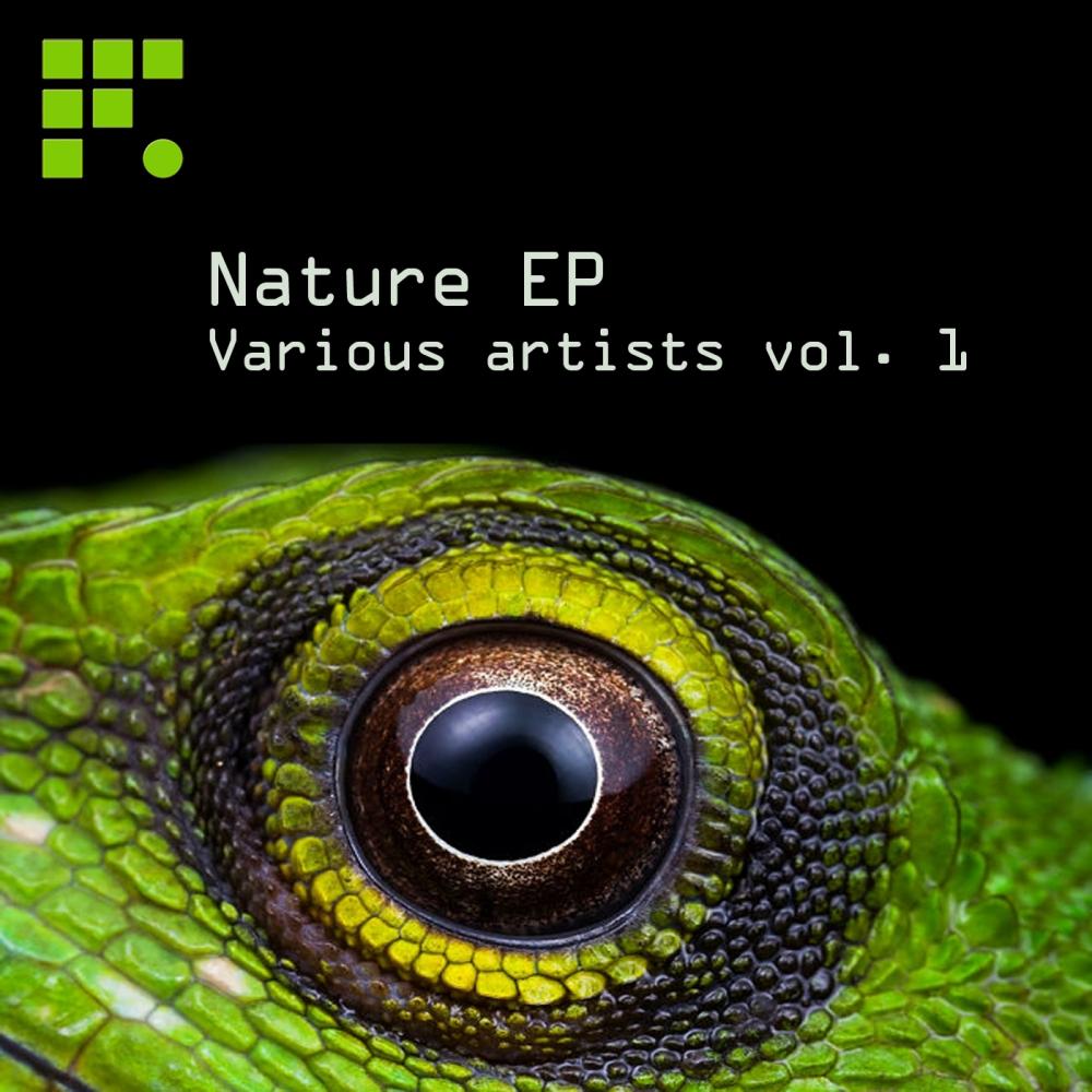 In Void (Original Mix)