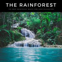 The Rainforest: The Best Rainforest Music For Deep Relaxation