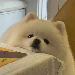小小黄吉他谱集