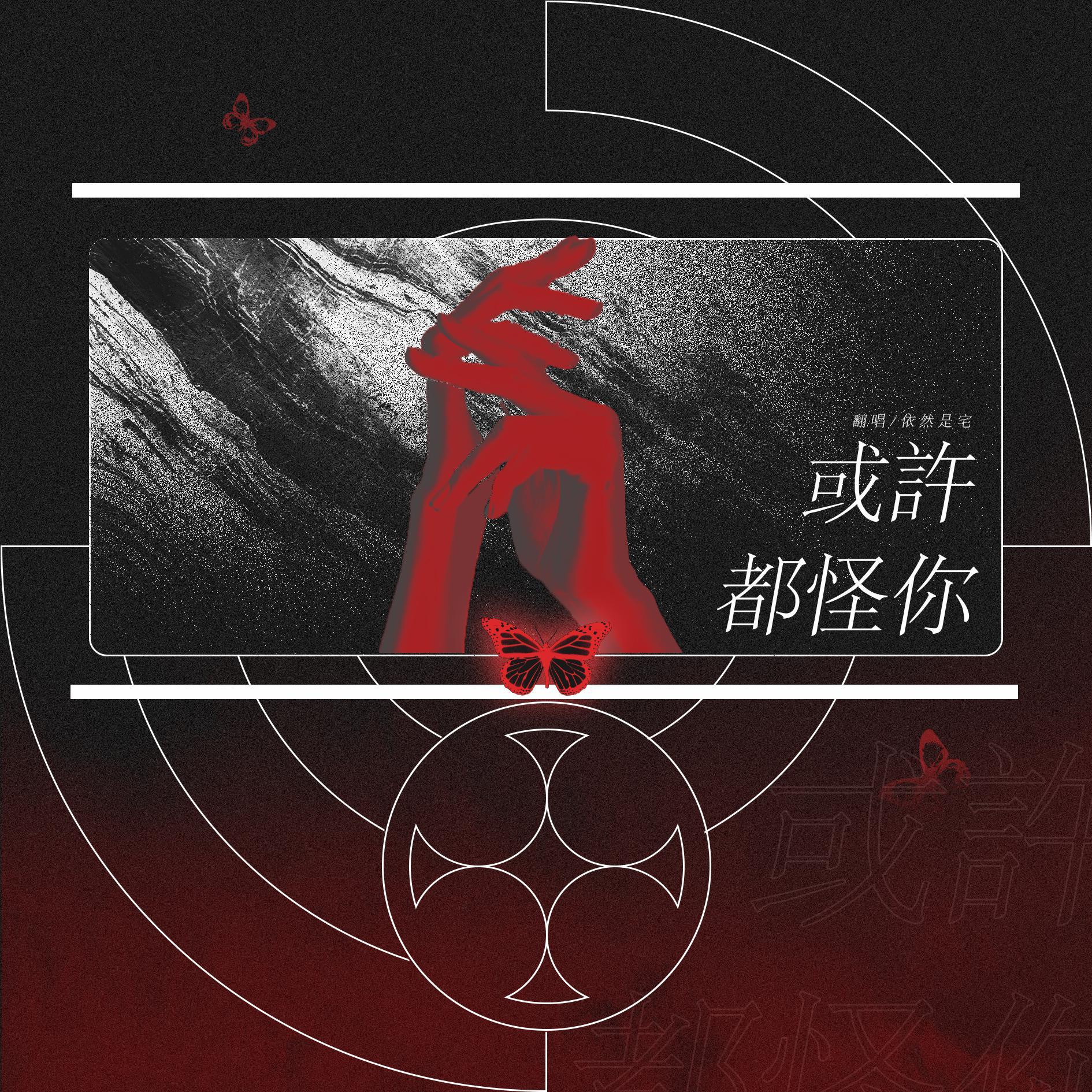 或许都怪你封面