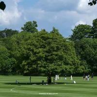 追风筝的人资料,追风筝的人最新歌曲,追风筝的人MV视频,追风筝的人音乐专辑,追风筝的人好听的歌