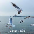 偶吧偶吧偶