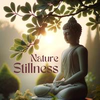 Nature Stillness: Connect with Mother Nature Through Buddhist Meditation