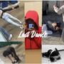 Last Dance (feat. 1228Box, Paid Dj, Northboyant & Zowocc)
