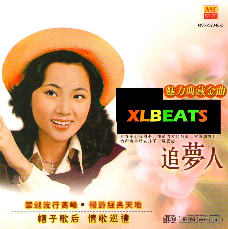 凤飞飞-追梦人(xlbeats remix)