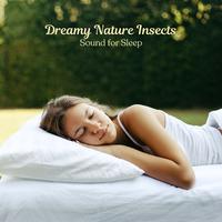 Dreamy Nature Insects: Sound for Sleep