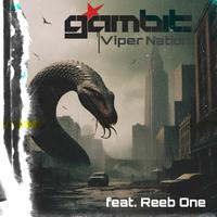 Viper Nation (feat. Reeb One)