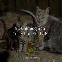 50 Calming Spa Collection For Cats