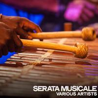 Serata musicale