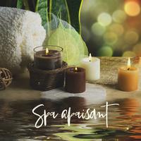 Spa apaisant (Musique sereine aux sons de la nature pour une journée spa et bien-être, détente et soulagement du stress)