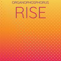 Organophosphorus Rise