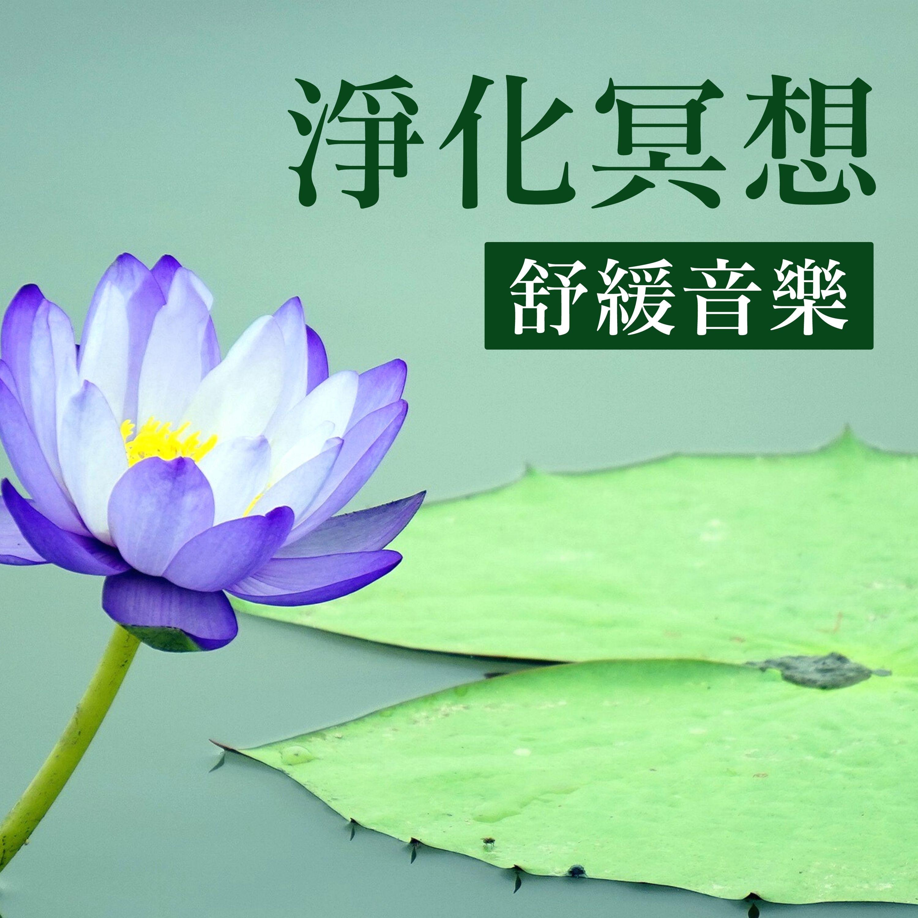 清空一切妄念封面