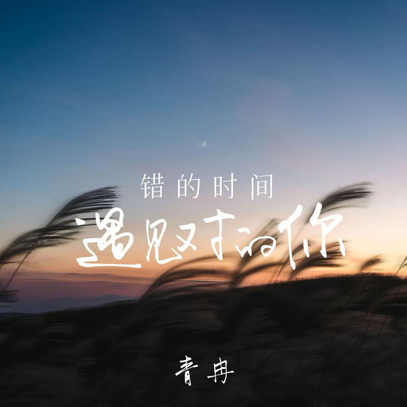 错的时间遇见对的你封面