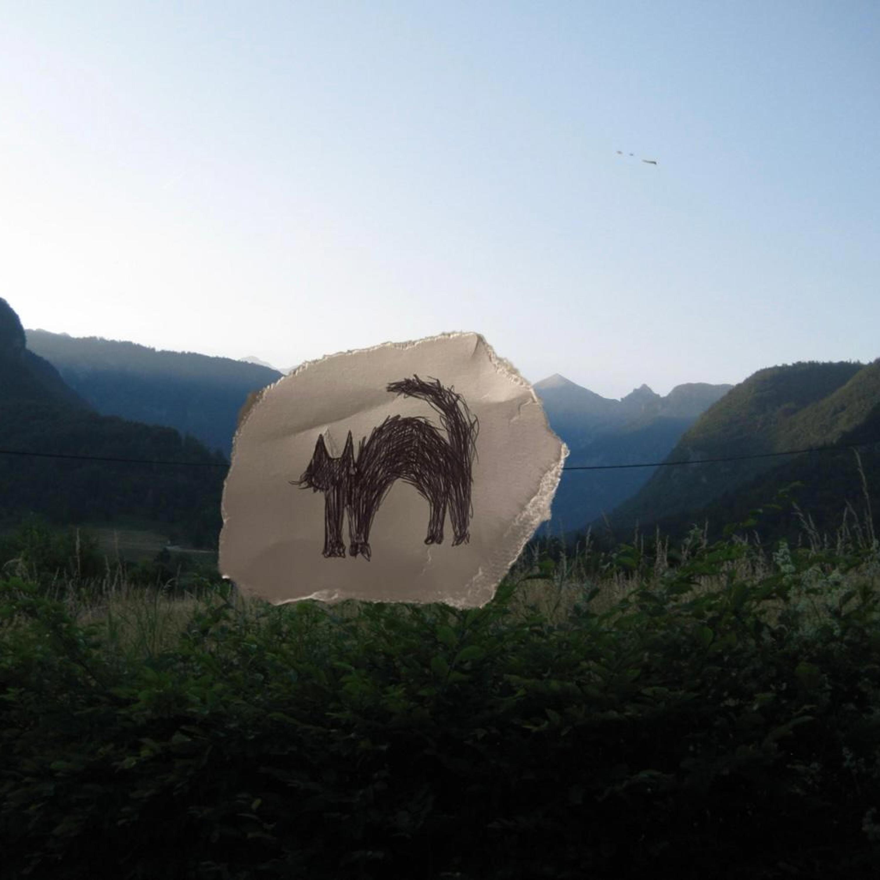 what love makes you do