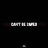 Cryptic Wisdom - Can't Be Saved