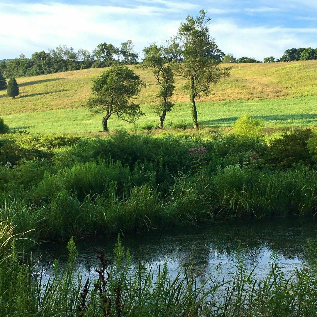 【大自然纯音乐】走进一幅画，走出一个季。