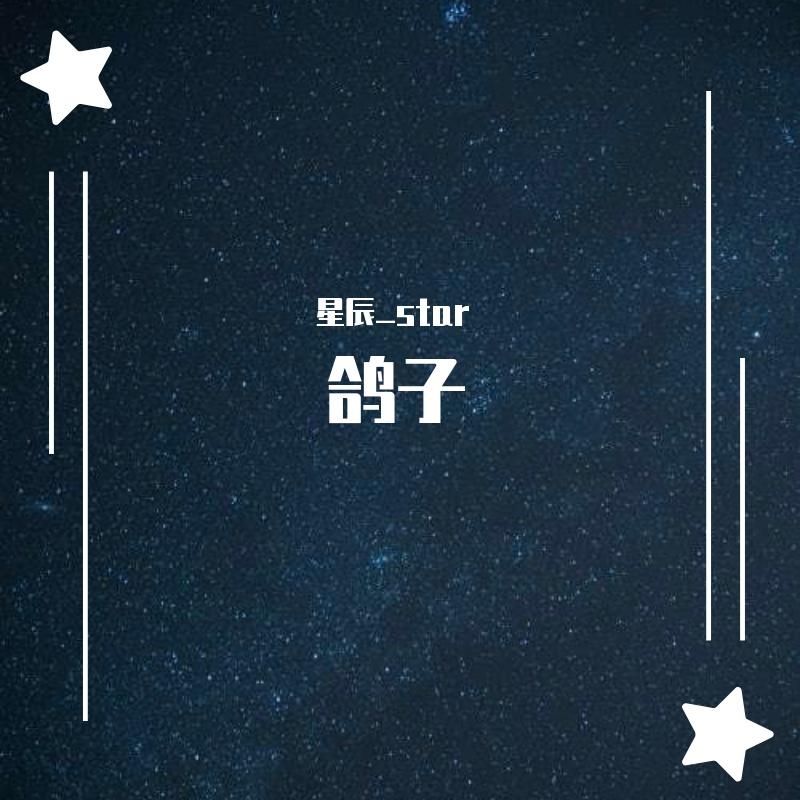 鸽子（片段）封面