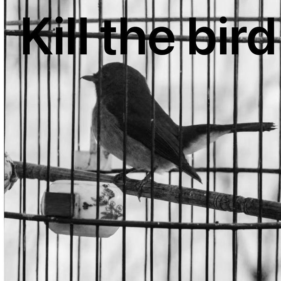 kill the bird