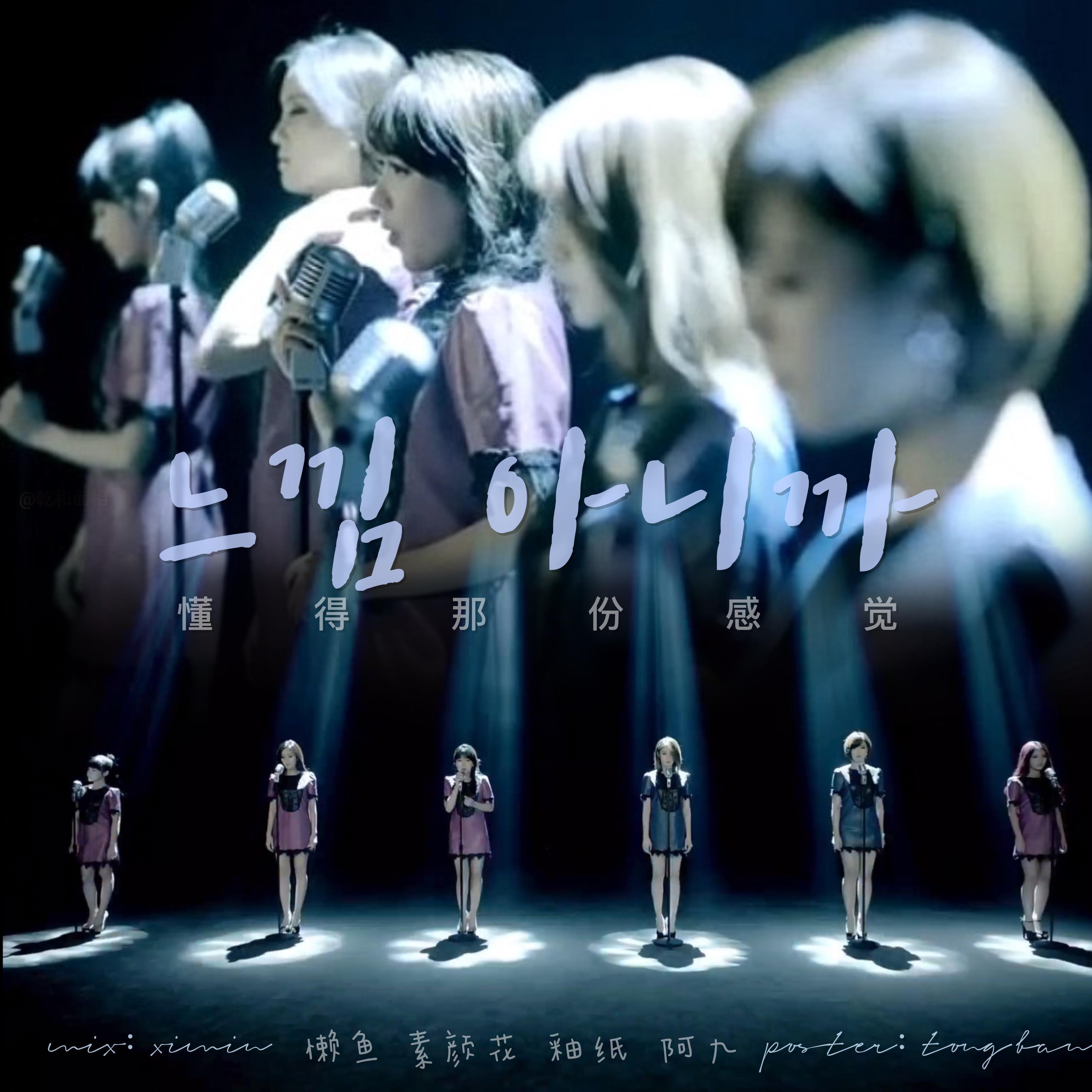 懂得那份感觉（翻自 T-ara）