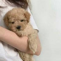 Kibee资料,Kibee最新歌曲,KibeeMV视频,Kibee音乐专辑,Kibee好听的歌