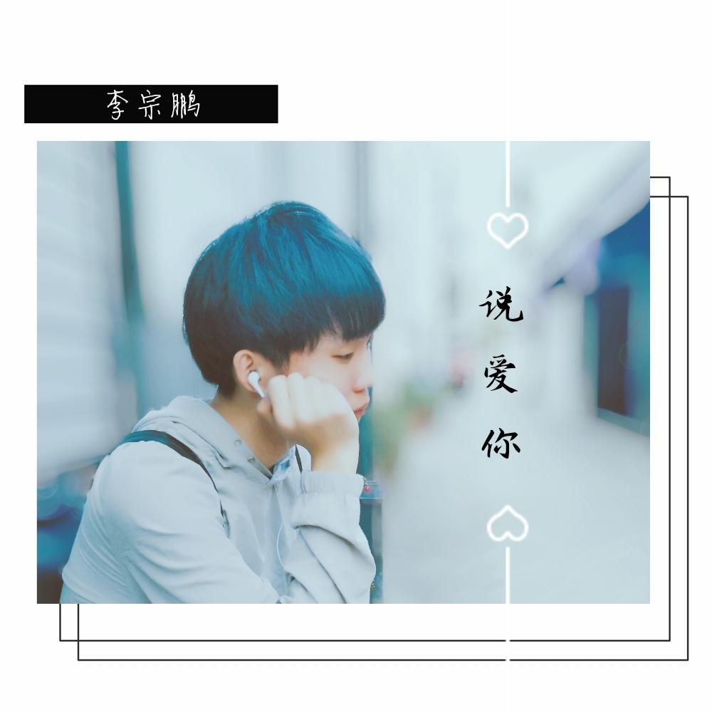 说爱你（伴奏）封面