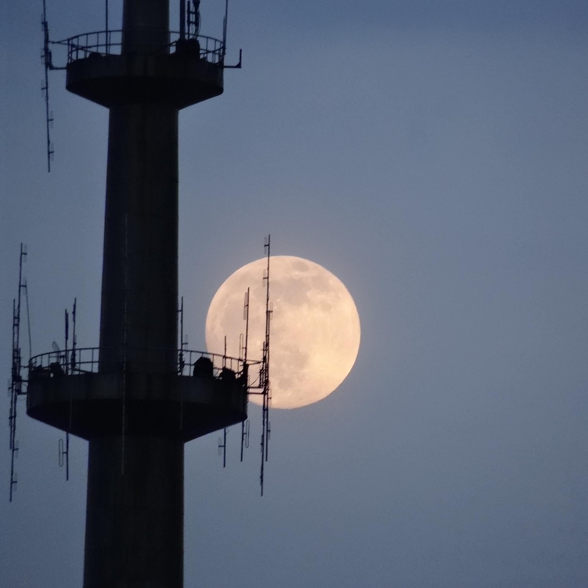 植物大战僵尸（抒情版）（ljhhh / Wang Zhao Spring remix）