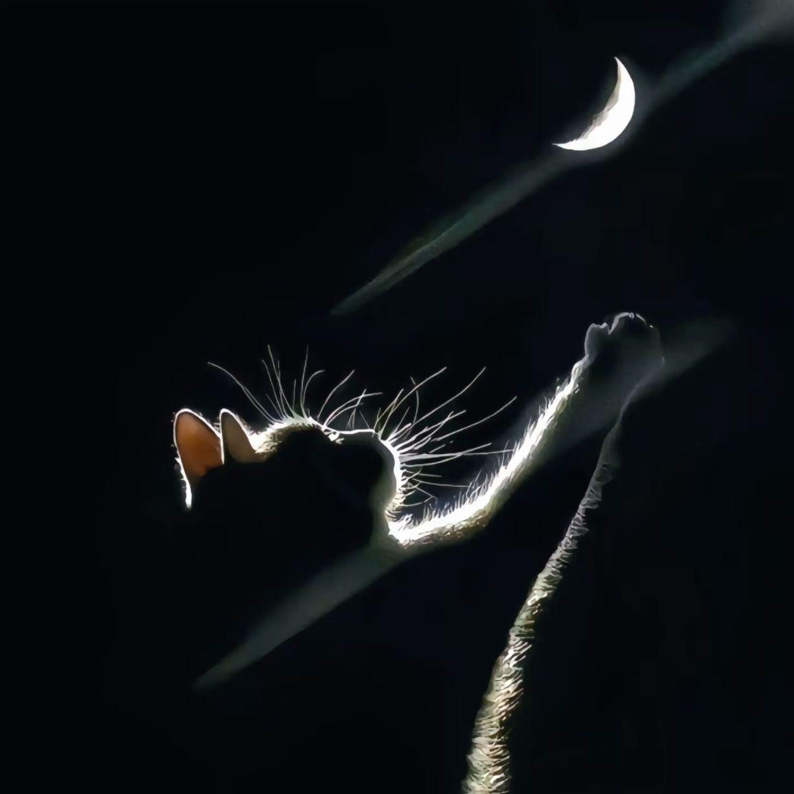 出现又离开（大圆哥）