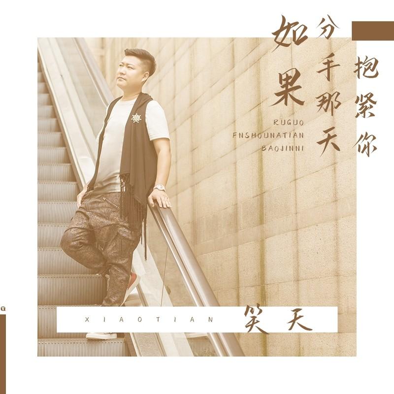 如果分手那天抱紧你 (DJ何鹏版)封面