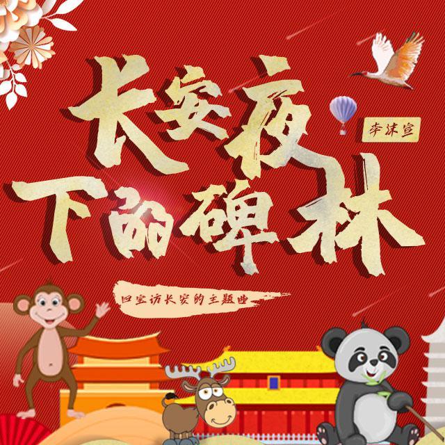 长安夜下的碑林封面