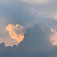 f'd资料,f'd最新歌曲,f'dMV视频,f'd音乐专辑,f'd好听的歌