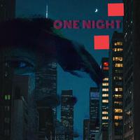 ONE NIGHT