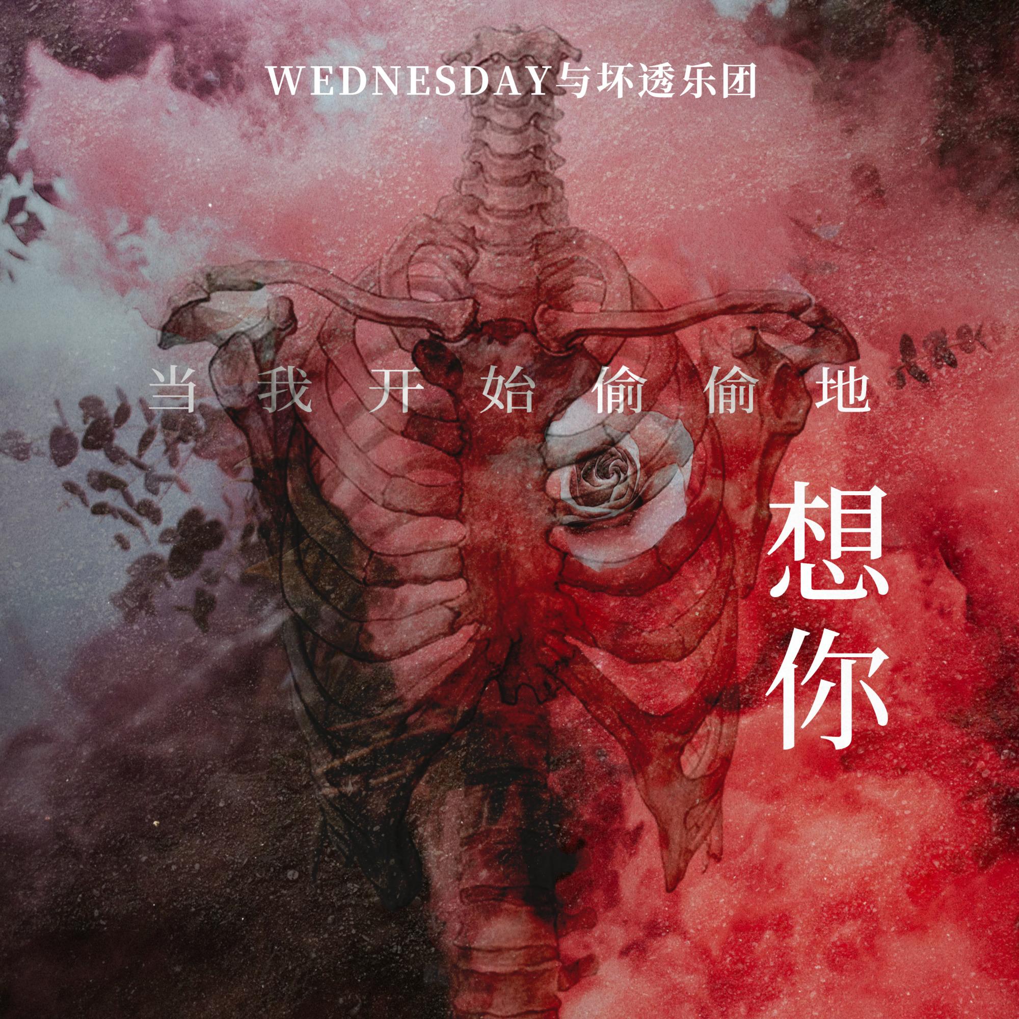 当我开始偷偷地想你封面