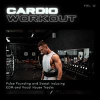 Cardio Workout - Pulse Pounding And Sweat Inducing EDM And Vocal House Tracks, Vol. 12