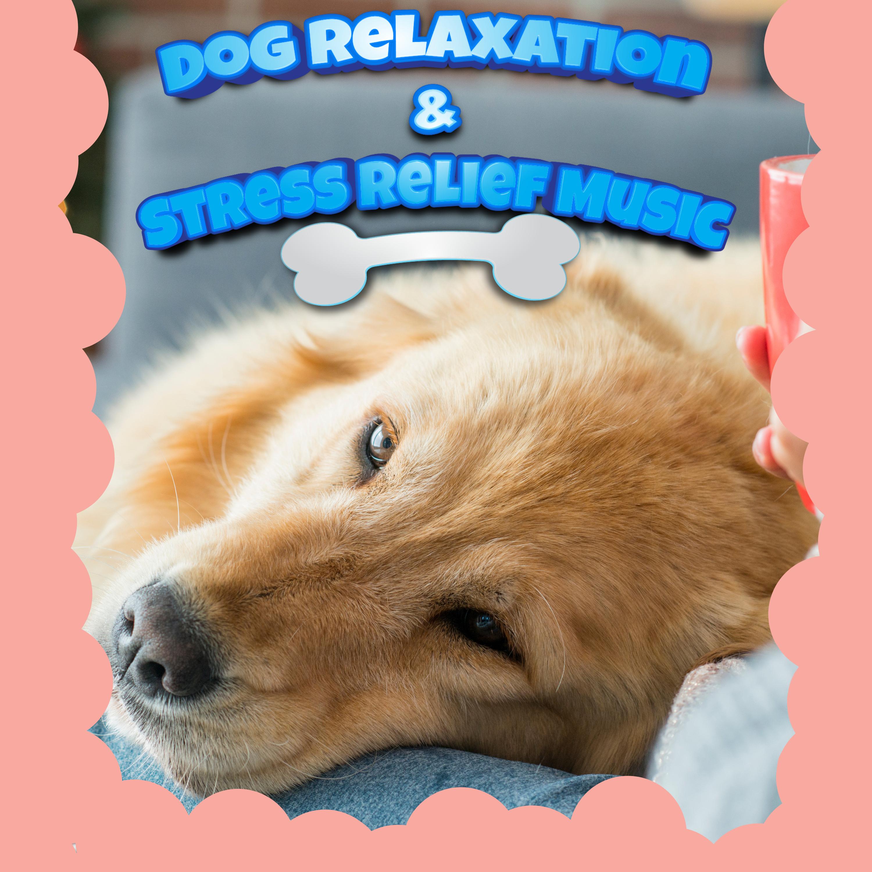 Photo inspiration: Visual Reference: Music For Puppies Dog Relaxation Stress Relief Music Happy Ambient