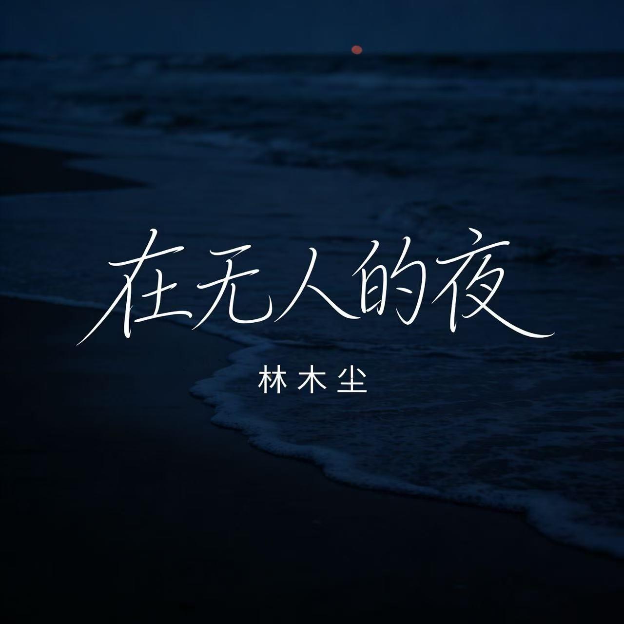 在无人的夜封面