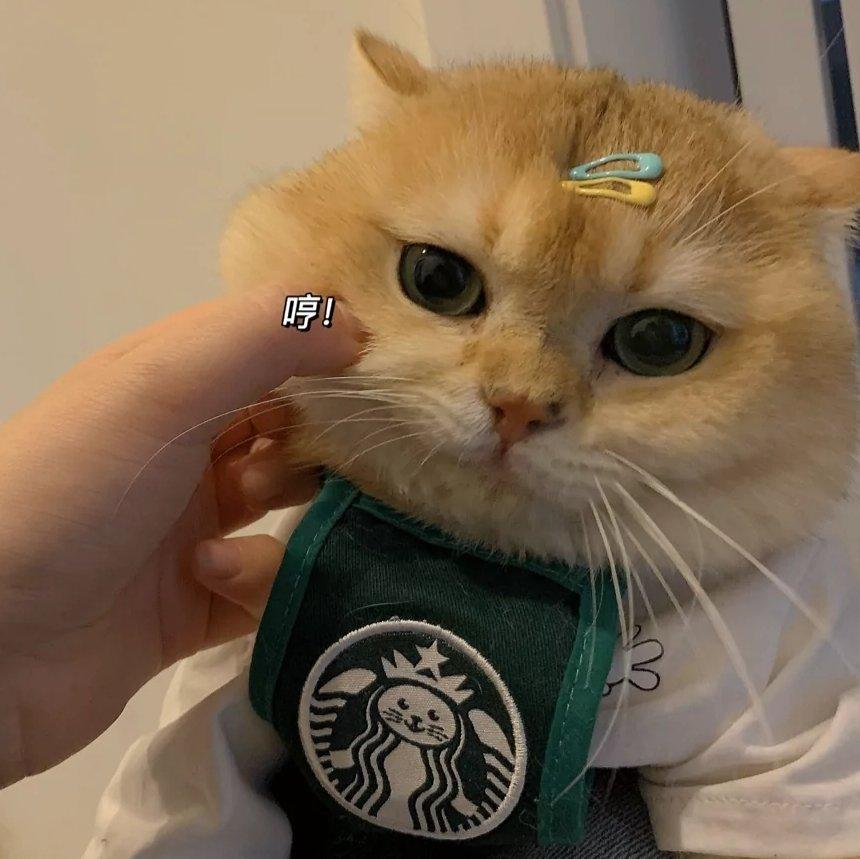 甜甜的Rapper(给予你很多温柔)